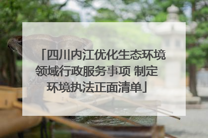 四川内江优化生态环境领域行政服务事项 制定环境执法正面清单