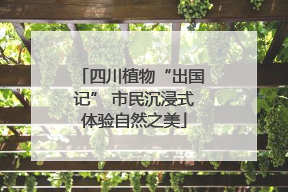 四川植物“出国记” 市民沉浸式体验自然之美