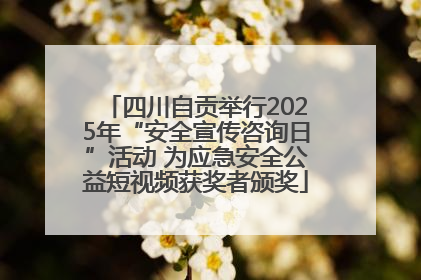 四川自贡举行2025年“安全宣传咨询日”活动 为应急安全公益短视频获奖者颁奖