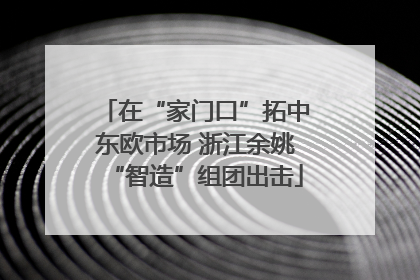 在“家门口”拓中东欧市场 浙江余姚“智造”组团出击