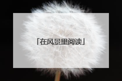 在风景里阅读