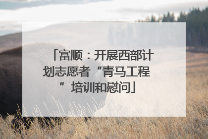 富顺：开展西部计划志愿者“青马工程”培训和慰问