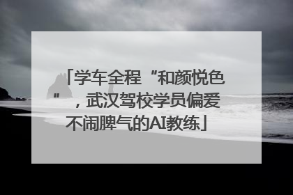 学车全程“和颜悦色”，武汉驾校学员偏爱不闹脾气的AI教练