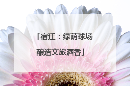 宿迁：绿荫球场酿造文旅酒香