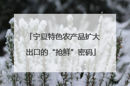 宁夏特色农产品扩大出口的“抢鲜”密码