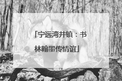 宁远湾井镇：书林翰墨传情谊