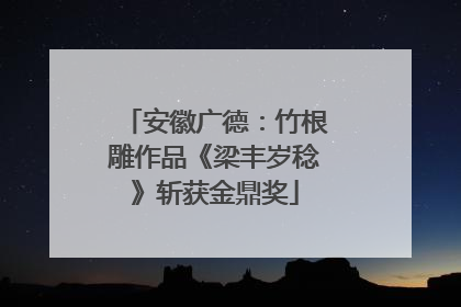 安徽广德：竹根雕作品《梁丰岁稔》斩获金鼎奖