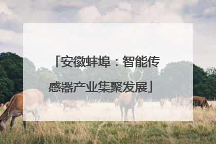安徽蚌埠：智能传感器产业集聚发展