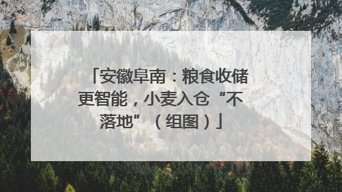 安徽阜南：粮食收储更智能，小麦入仓“不落地”（组图）