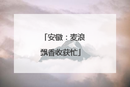安徽：麦浪飘香收获忙
