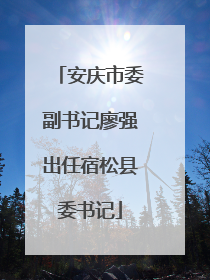 安庆市委副书记廖强出任宿松县委书记
