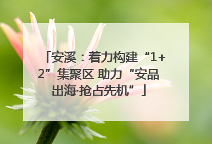 安溪：着力构建“1+2”集聚区 助力“安品出海·抢占先机”
