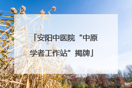 安阳中医院“中原学者工作站”揭牌