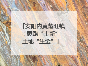 安阳内黄楚旺镇：思路“上新” 土地“生金”