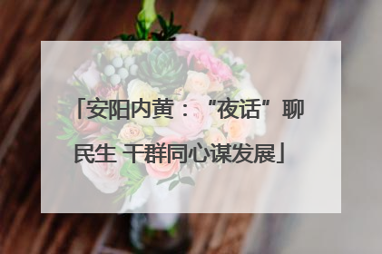 安阳内黄：“夜话”聊民生 干群同心谋发展