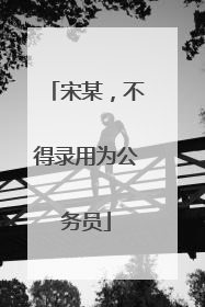 宋某，不得录用为公务员