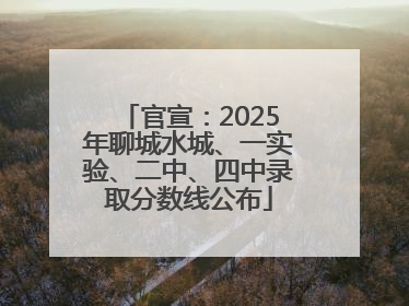 官宣：2025年聊城水城、一实验、二中、四中录取分数线公布