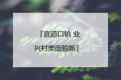官道口镇 业兴村美面貌新