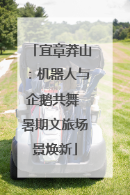 宜章莽山：机器人与企鹅共舞 暑期文旅场景焕新