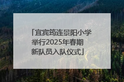 宜宾筠连景阳小学举行2025年春期新队员入队仪式