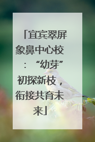 宜宾翠屏象鼻中心校：“幼芽”初探新枝，衔接共育未来