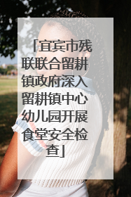 宜宾市残联联合留耕镇政府深入留耕镇中心幼儿园开展食堂安全检查