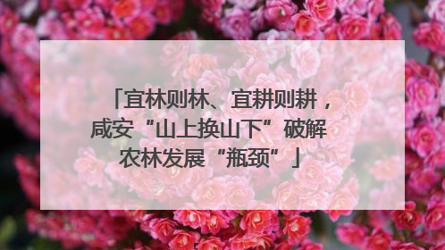 宜林则林、宜耕则耕，咸安“山上换山下”破解农林发展“瓶颈”