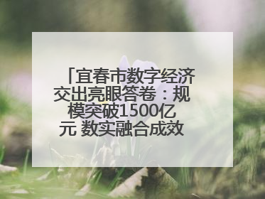 宜春市数字经济交出亮眼答卷：规模突破1500亿元 数实融合成效领跑全省（图）