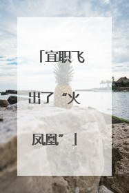 宜职飞出了“火凤凰”
