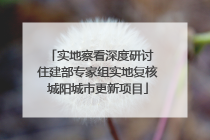 实地察看深度研讨 住建部专家组实地复核城阳城市更新项目
