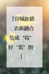 宣城旌德：农旅融合绘就“莓”好“蓝”图