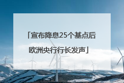 宣布降息25个基点后 欧洲央行行长发声
