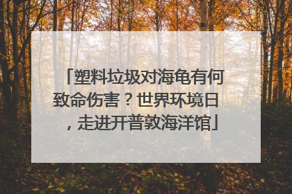塑料垃圾对海龟有何致命伤害？世界环境日，走进开普敦海洋馆