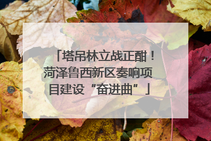 塔吊林立战正酣！菏泽鲁西新区奏响项目建设“奋进曲”