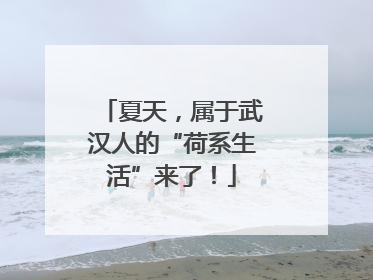 夏天，属于武汉人的“荷系生活”来了！