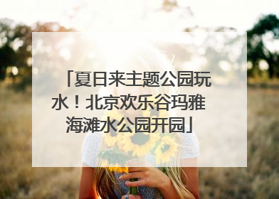 夏日来主题公园玩水！北京欢乐谷玛雅海滩水公园开园