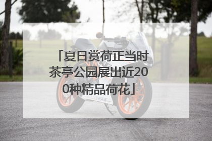 夏日赏荷正当时 茶亭公园展出近200种精品荷花
