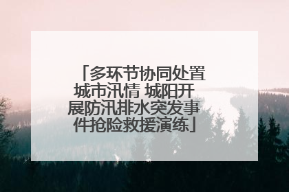 多环节协同处置城市汛情 城阳开展防汛排水突发事件抢险救援演练