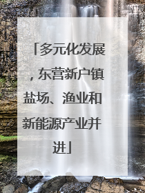 多元化发展，东营新户镇盐场、渔业和新能源产业并进