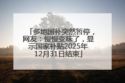 多地国补突然暂停，网友：慢慢变味了，显示国家补贴2025年12月31日结束