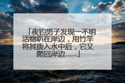 夜钓男子发现一不明活物趴在岸边，用竹竿将其拨入水中后，它又爬回岸边……