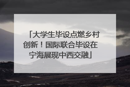 大学生毕设点燃乡村创新！国际联合毕设在宁海展现中西交融