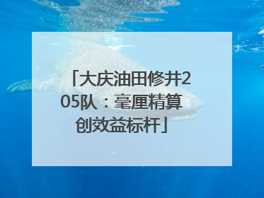 大庆油田修井205队：毫厘精算创效益标杆