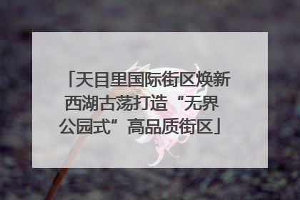 天目里国际街区焕新 西湖古荡打造“无界公园式”高品质街区