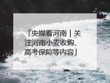 央媒看河南｜关注河南小麦收购、高考保障等内容