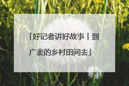 好记者讲好故事丨到广袤的乡村田间去