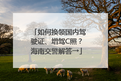 如何换领国内驾驶证、增驾C照？海南交警解答→