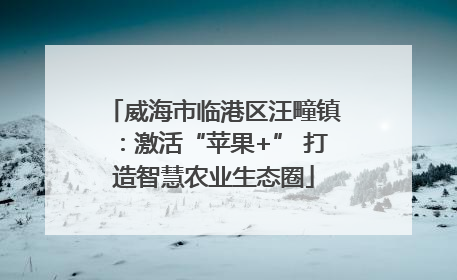 威海市临港区汪疃镇：激活“苹果+” 打造智慧农业生态圈