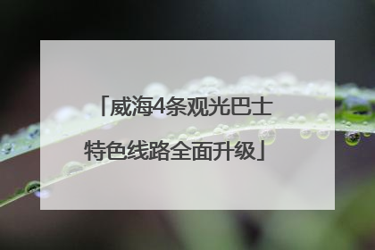 威海4条观光巴士特色线路全面升级
