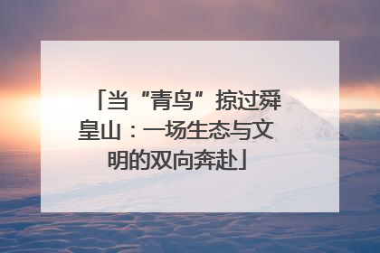 当“青鸟”掠过舜皇山：一场生态与文明的双向奔赴